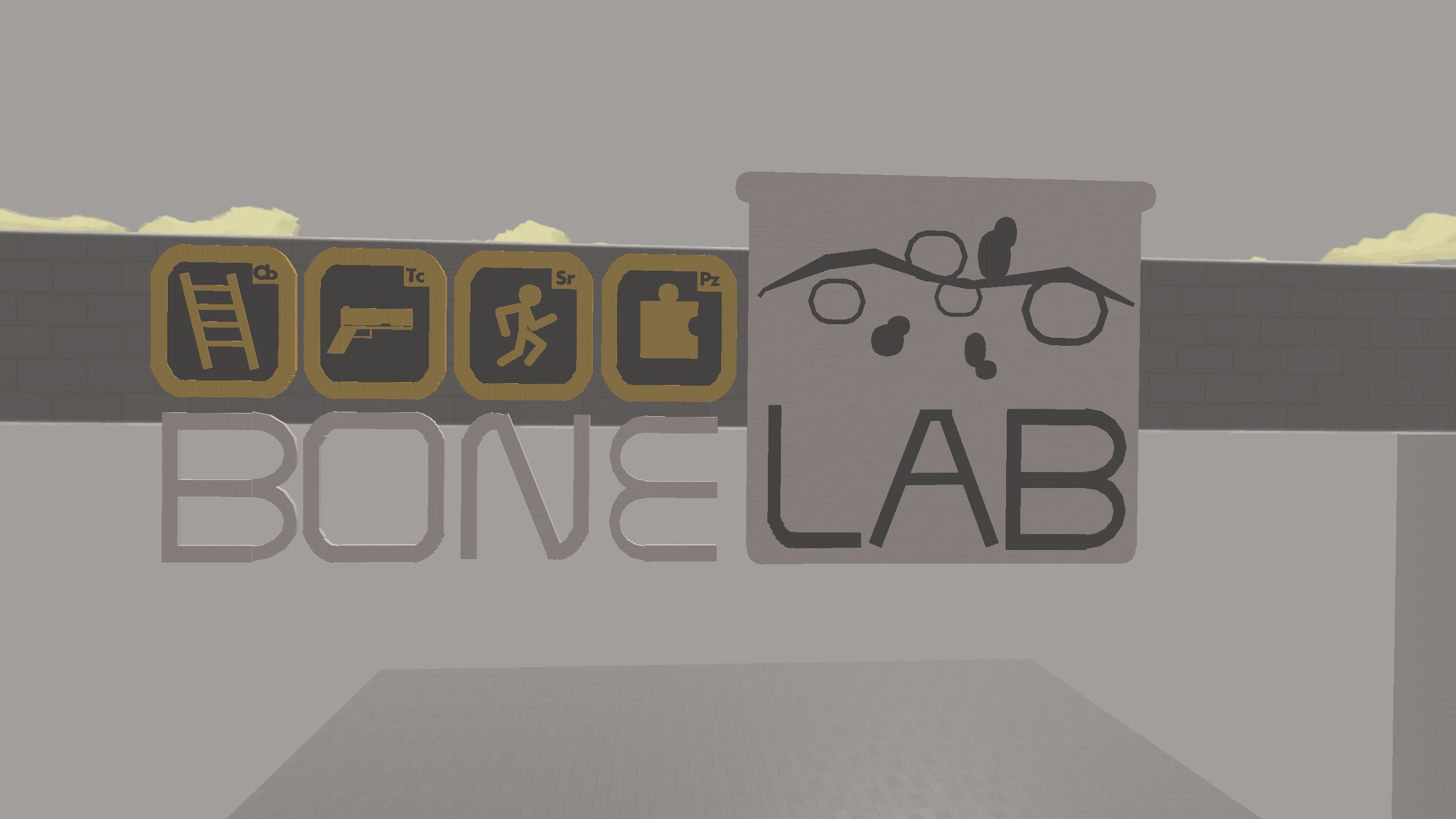 ^BULID_BONELAB