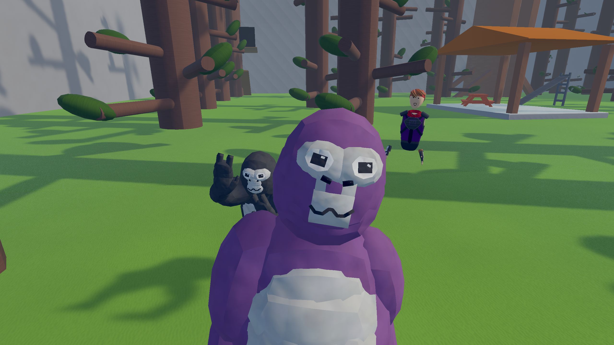 binx_ @Binx_'s Profile