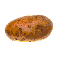 Goblen Gobleno S Profile