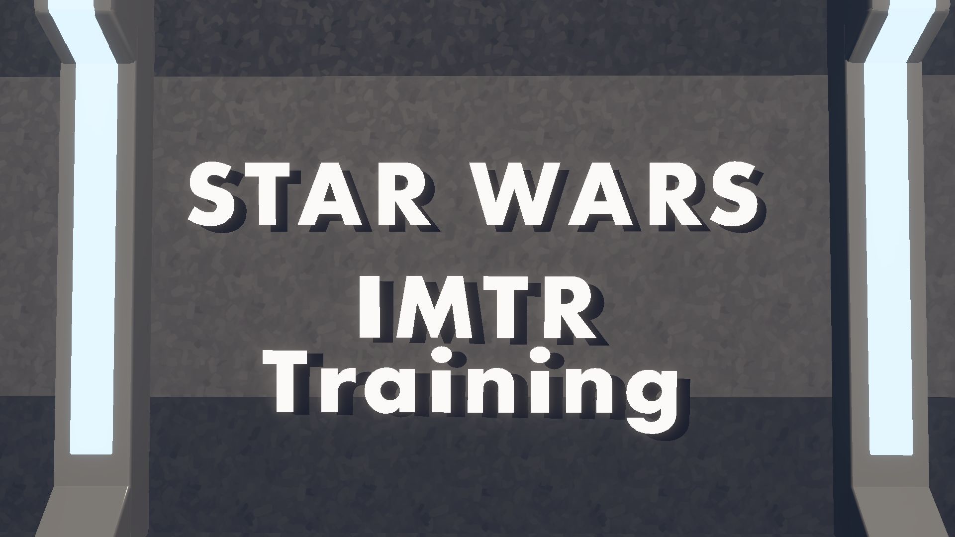 ^IMTR-Training