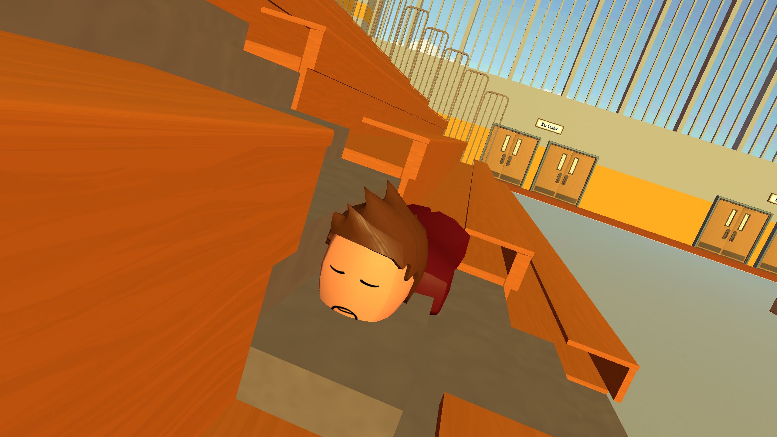 6 X 8 48 Asino Cotto