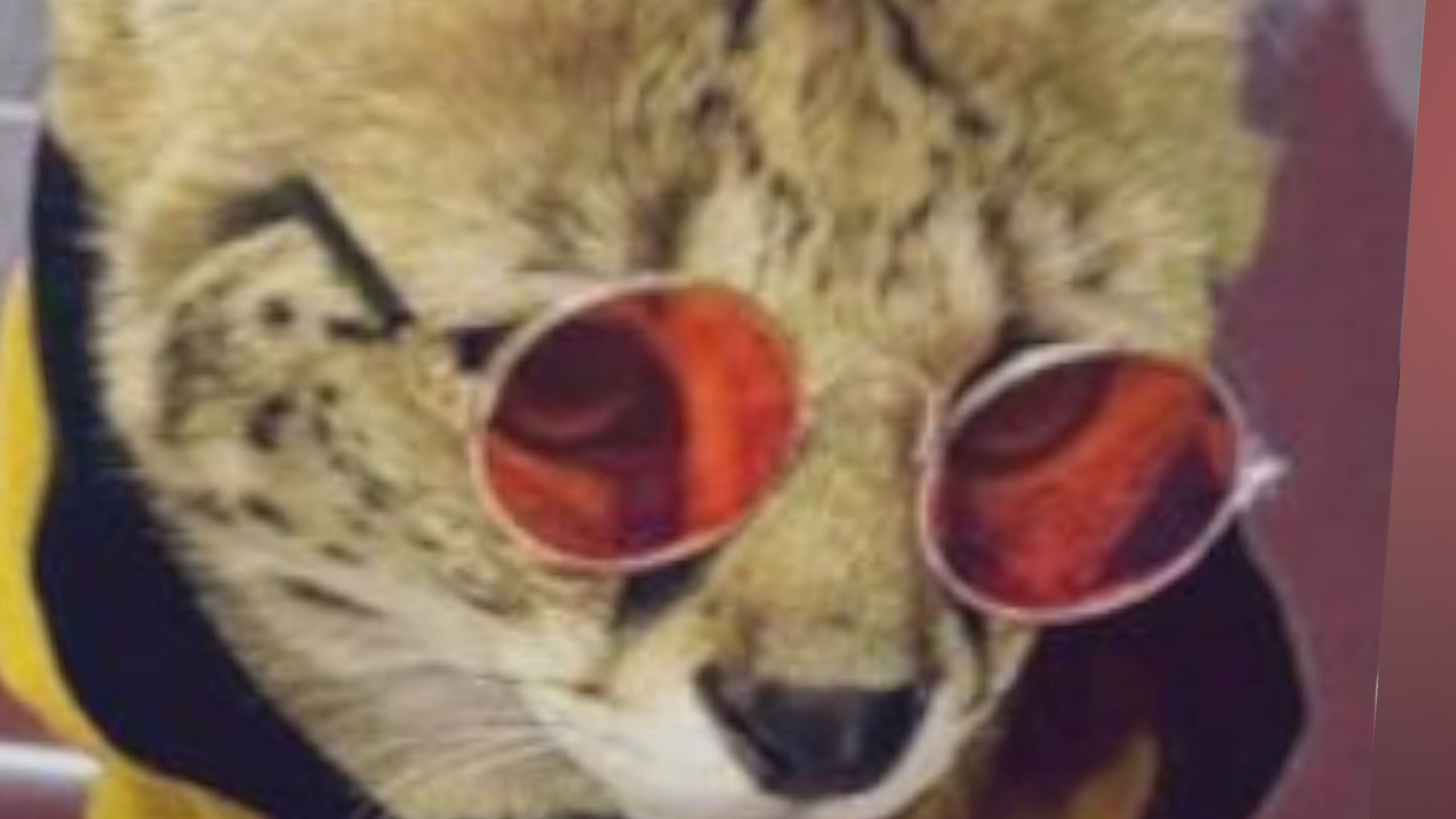 ^cat_wow